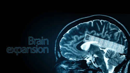 نخستين حافظه جانبي براي مغز ساخته شد