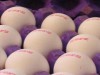 مصرف تخم مرغ، موجب مرگ مردان می شود