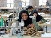 وزیر کار : زنان مدتی است دنبال کار نمی گردند
