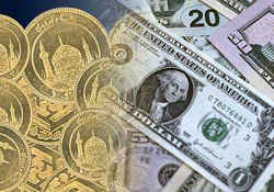 سفته بازی بانک مرکزی در بازار دلار و سکه