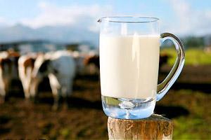 کاهش قیمت شیر و لبنیات شبیه یک رویاست