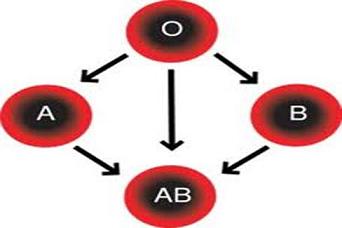 گروه خونی در بروز نوع بیماری تاثیر دارد